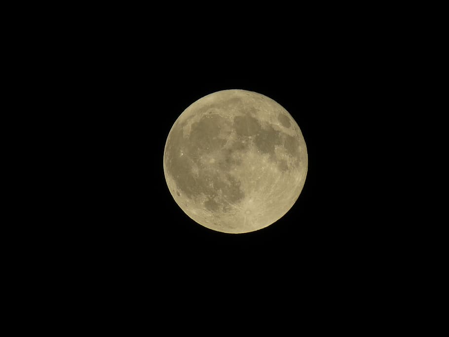 moon, natural satellite, hunters, fuul, night, yellow, earth's satelite, HD wallpaper