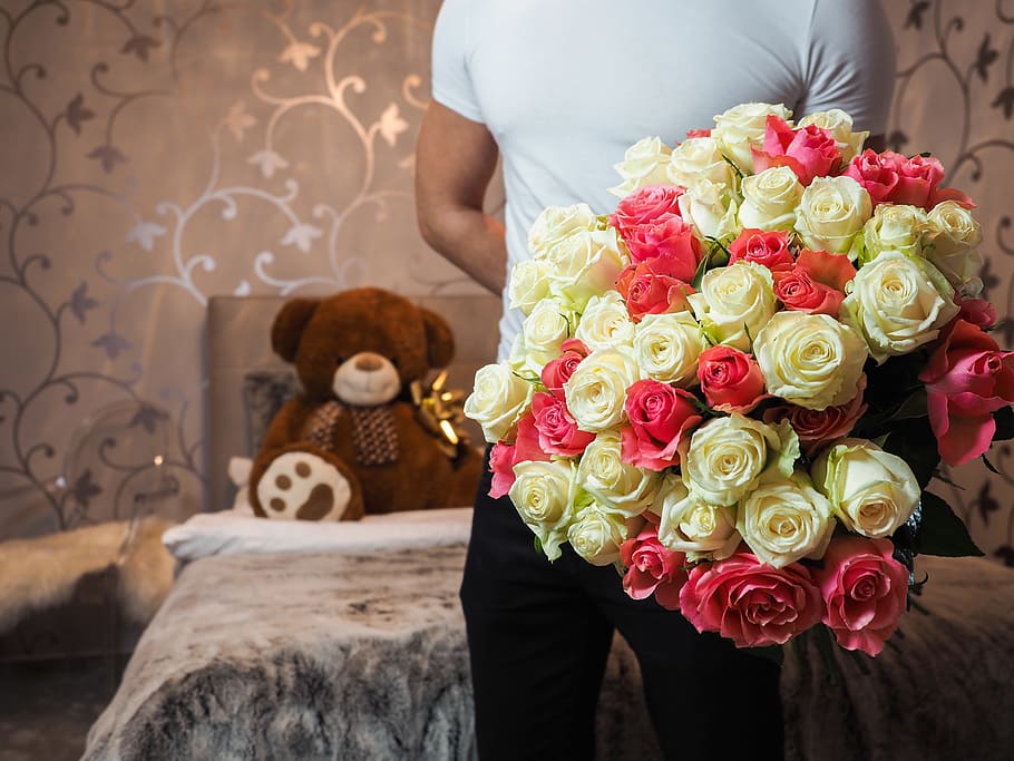 man, flowers, petals, gift, bear, beautiful, bloom, blooming HD wallpaper