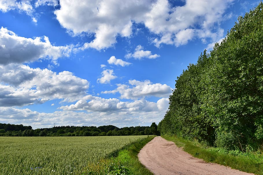 Field, Away, Landscape, sky, summer, nature, clouds, forest HD wallpaper