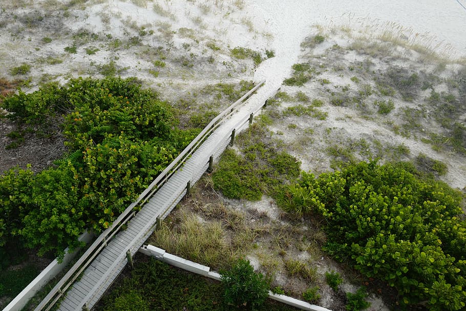 asphalt bridge with no vehicles near green trees, aerial, photo HD wallpaper