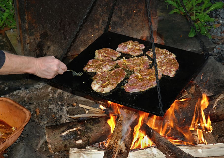 grilling, fire, hand, meat, spices, foodstuffs, heat - temperature HD wallpaper