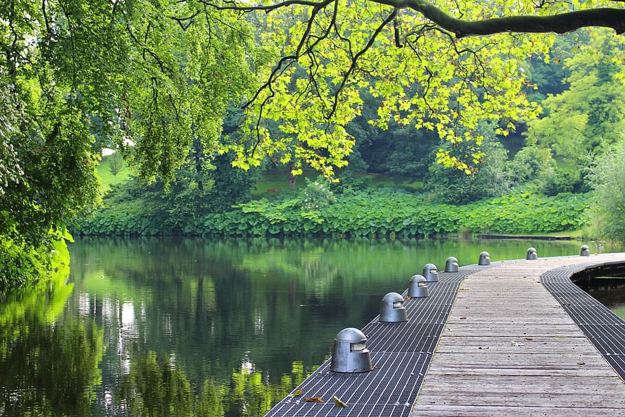 bremen, wall systems, park, water, nature, mirroring, tree, HD wallpaper