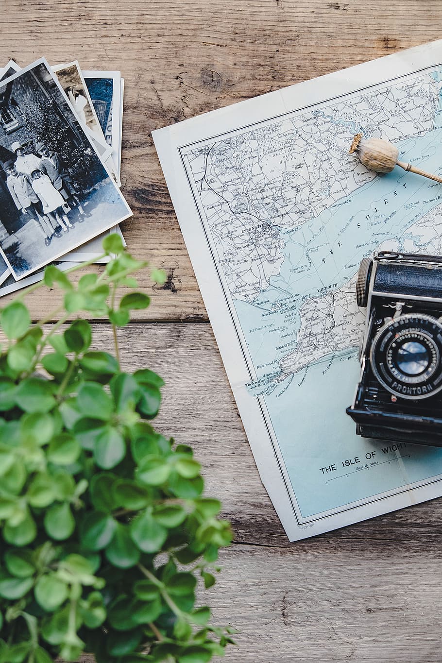 black and silver TLR camera on Isle Of Wight map, white map illustration HD wallpaper