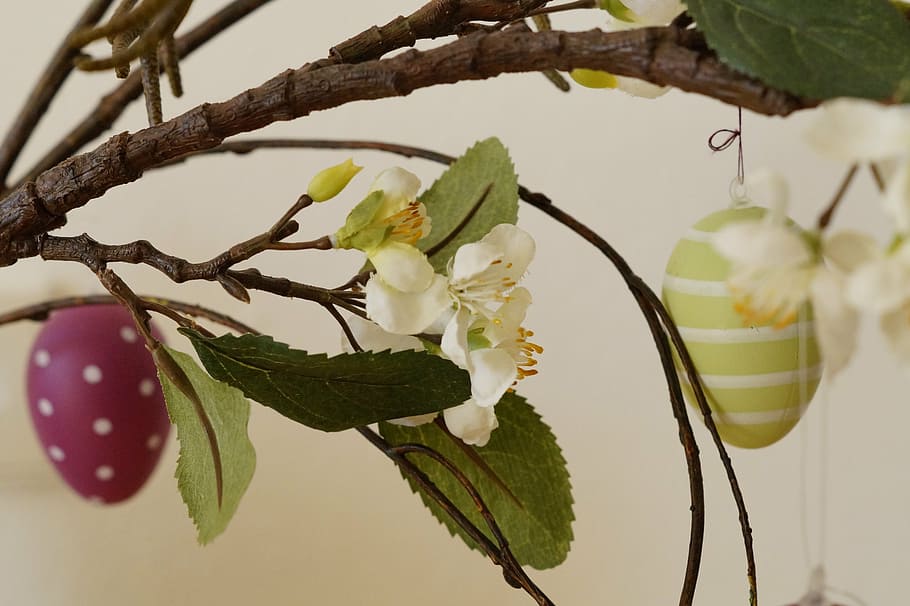 easter greeting, easter branch, happy easter, easter egg, decoration HD wallpaper