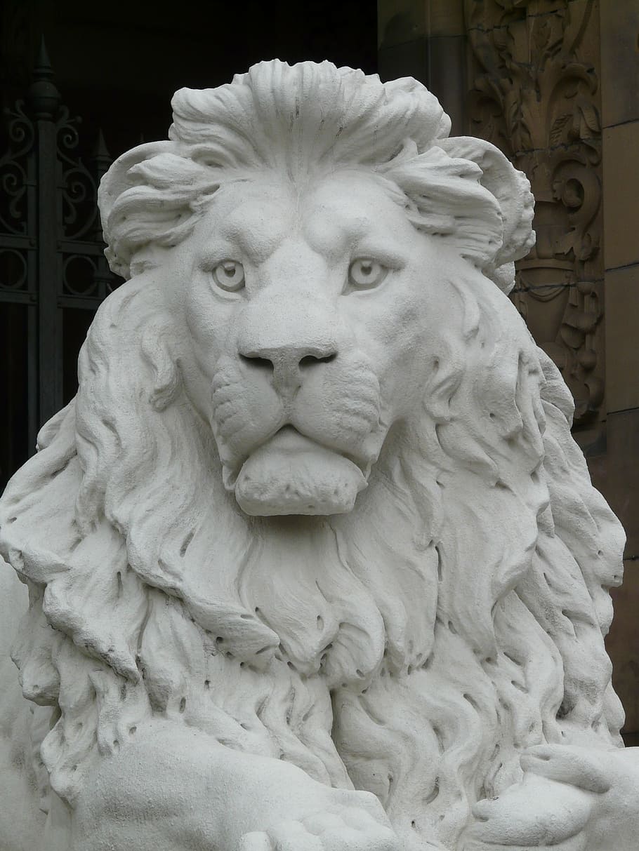 lion, statue, figure, gypsum, white, animal, chalk figure, representation