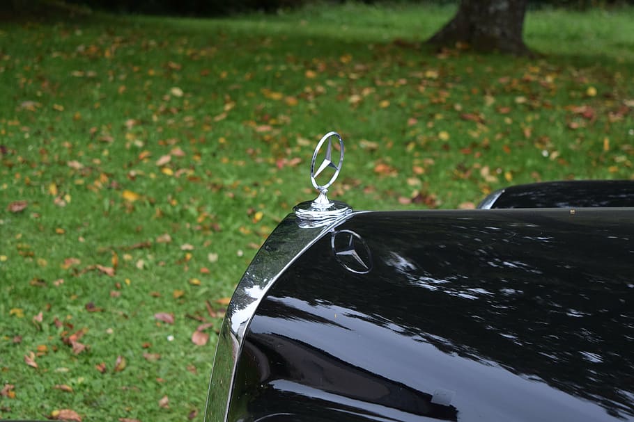 auto, mercedes, oldtimer, daimler, car, mode of transportation HD wallpaper