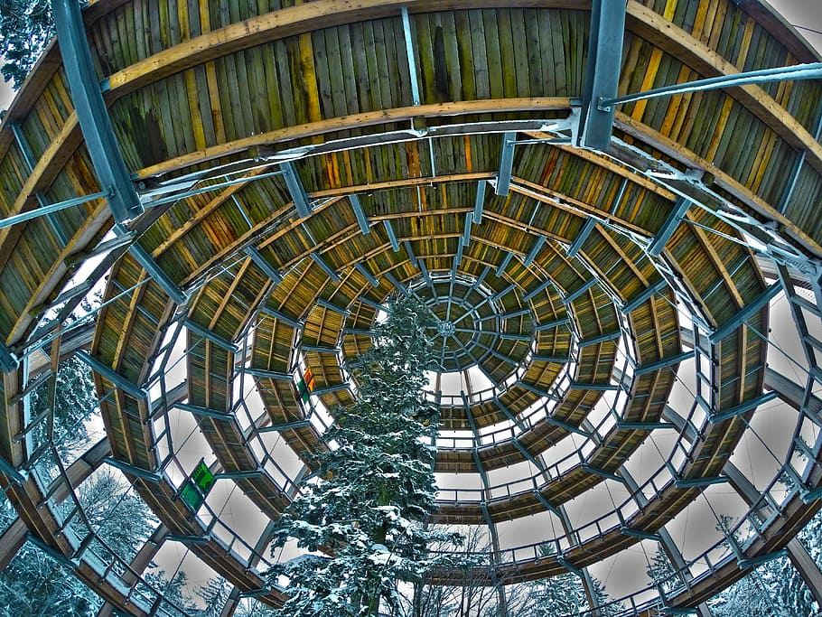 Treetop, Path, Boardwalk, Winter, treetop path, spiral, staircase HD wallpaper