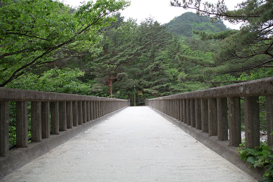 Ishibashi, Bridge, Horizontal, Mountain, nature, scenery, gil HD wallpaper