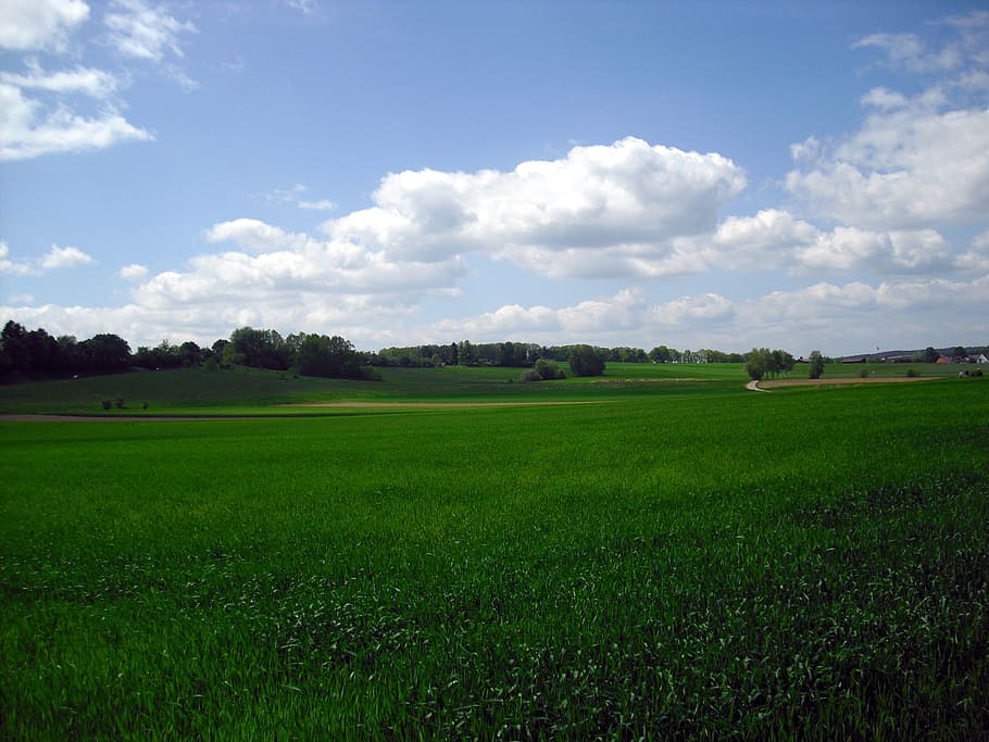 landscape, meadow, sky, green, summer, clouds, cloudy, nature HD wallpaper
