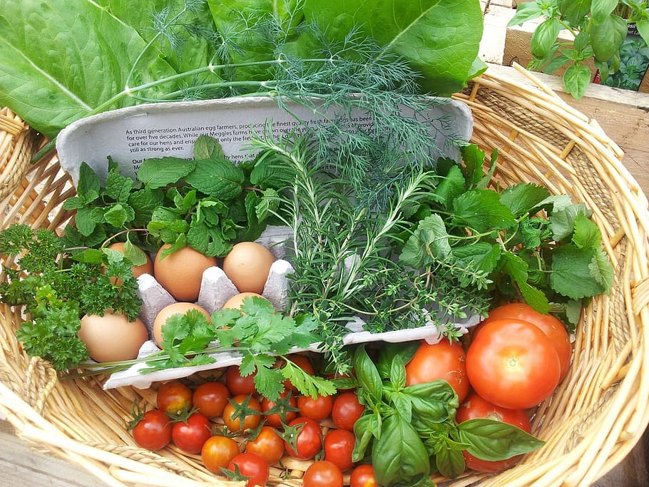 assorted-type vegetables and egg inside brown wicker basket, fresh, HD wallpaper