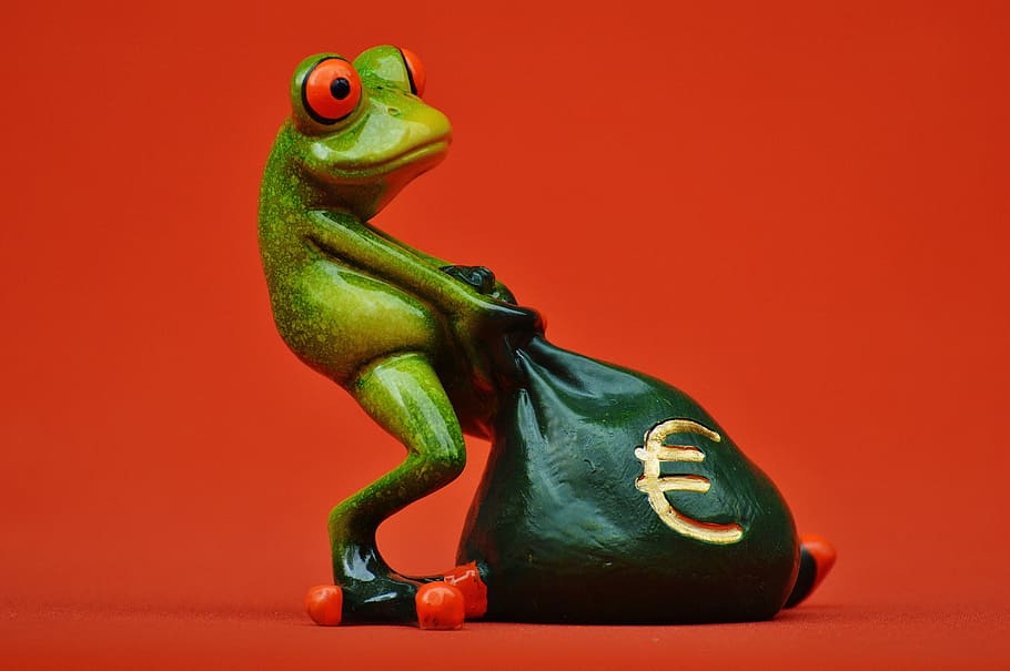 frog, money, euro, bag, money bag, funny, cute, figure, empire, HD wallpaper
