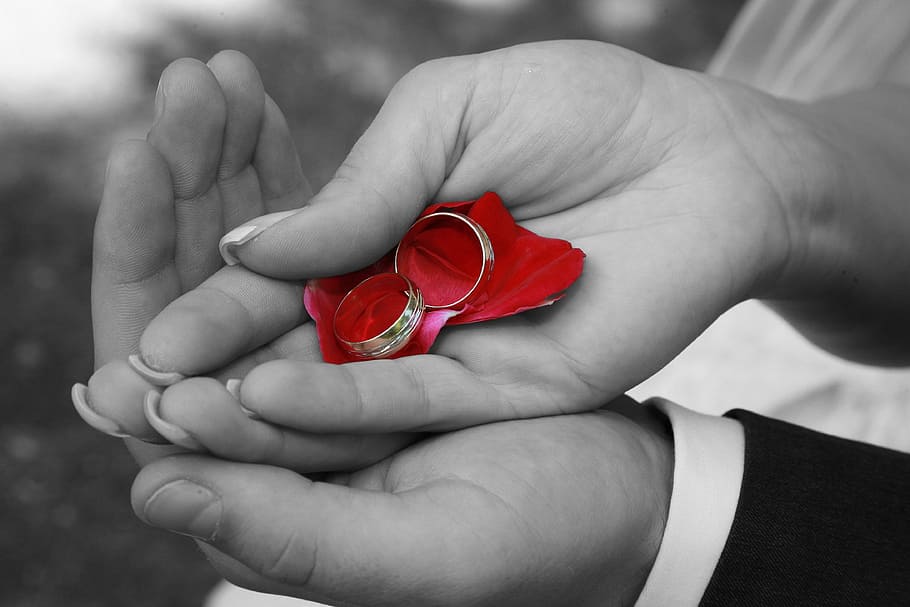 selective focus photography pair of wedding rings on woman's palm HD wallpaper