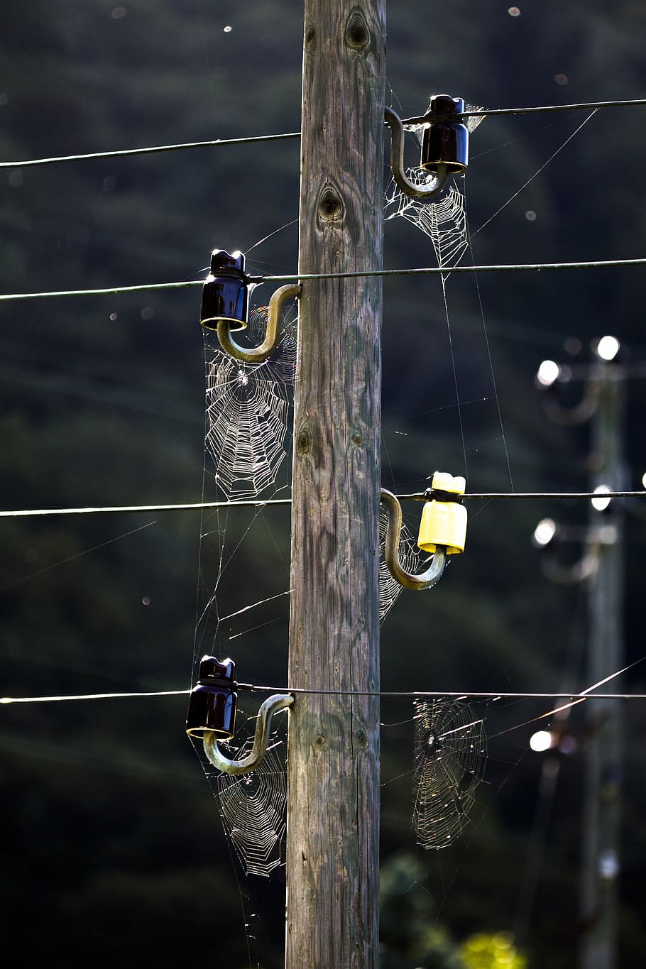spider webs, cobweb, network, strommast, power line, cable HD wallpaper