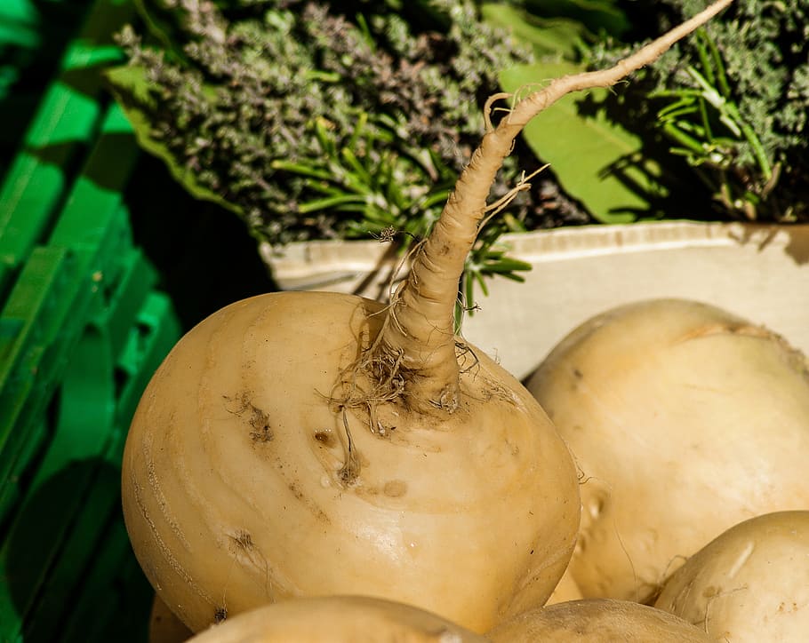 vegetables, turnip, soup, healthy eating, food, food and drink HD wallpaper