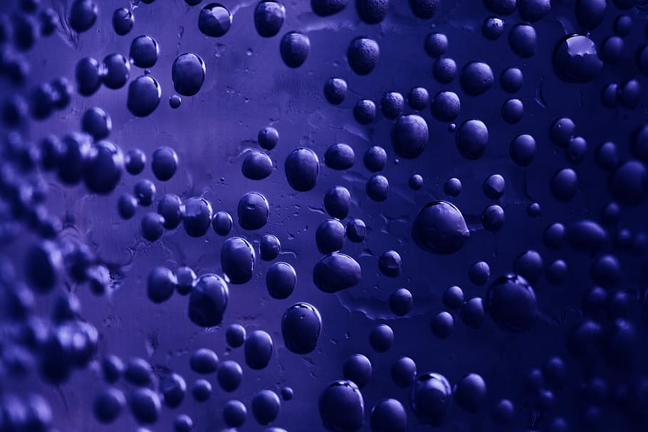 closeup photo of water dews, purple droplets graphic artwork HD wallpaper
