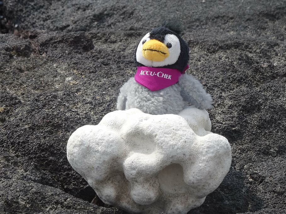 soft toy, tufa, stone, figure, beach, penguin, animal, representation, HD wallpaper