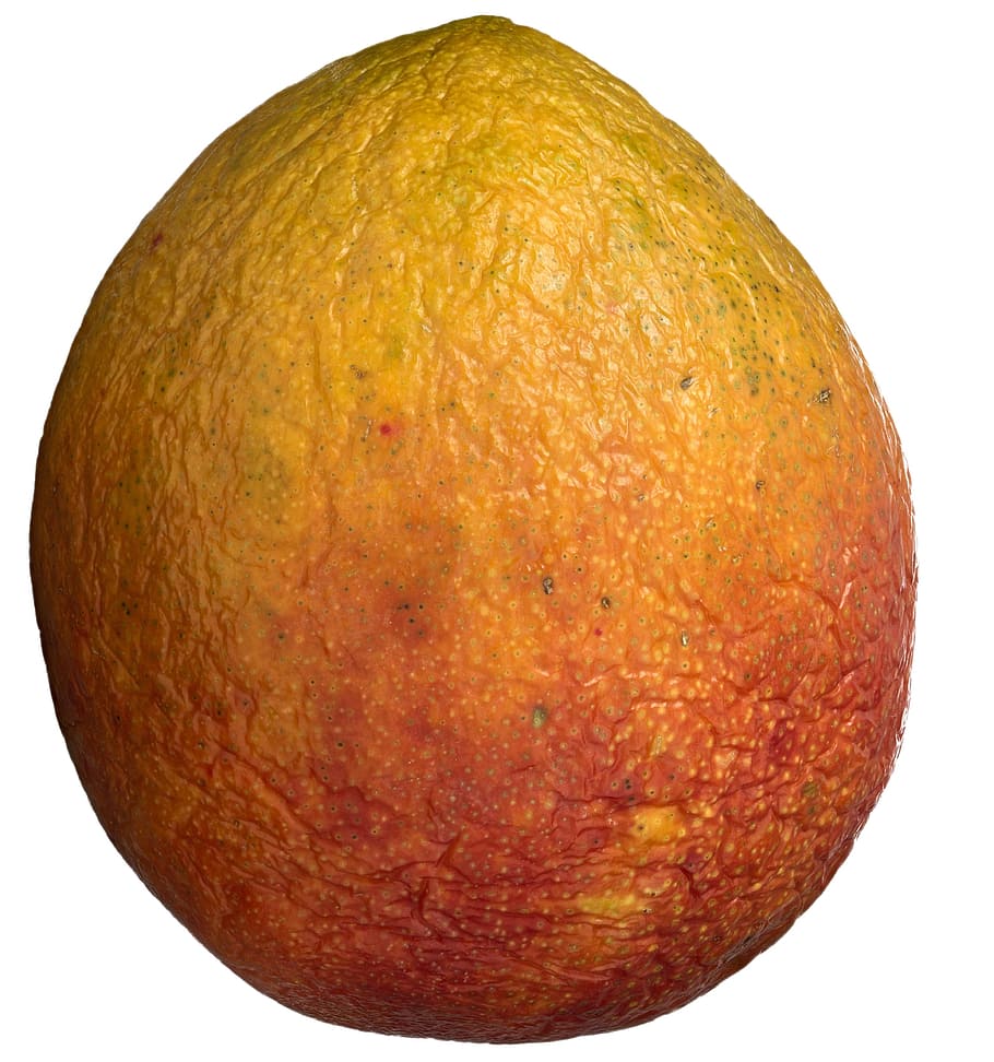 Mango, Fruit, Ripe, Healthy, Tropical, sweet, organic, exotic HD wallpaper