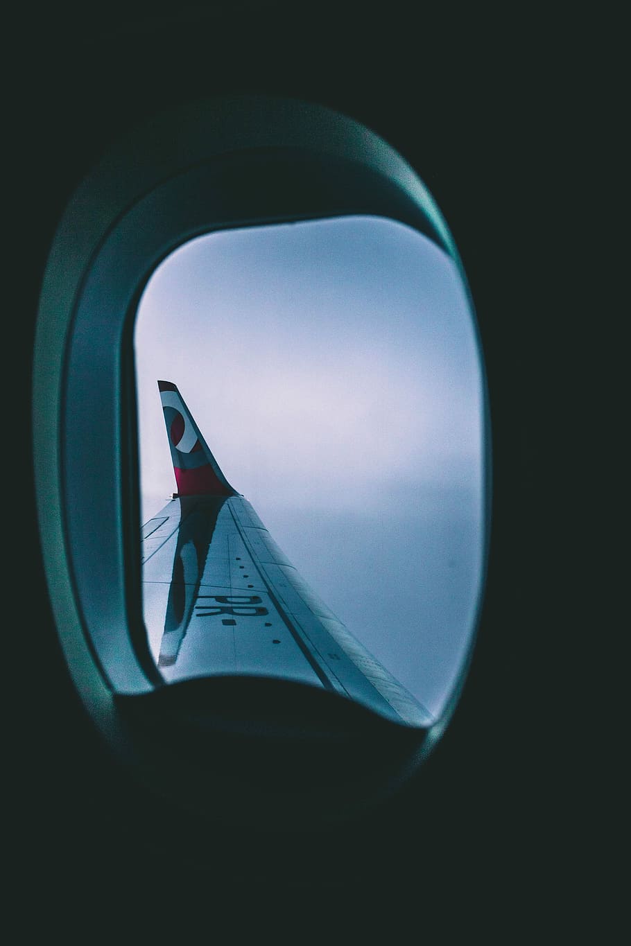 black and red airplane wing, view through airplane window of sky during daytime HD wallpaper