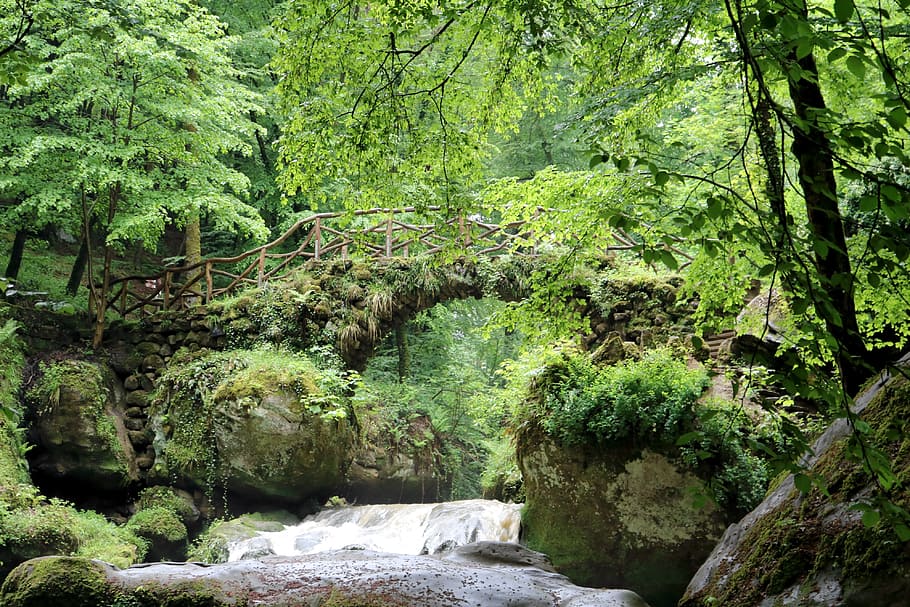 Bridge, River, Mullerthal, Gorge, landscape, forest, nature HD wallpaper