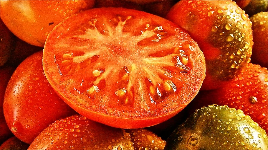 fruit, tomato, vegetable, nature, vegetables, food, food and drink HD wallpaper