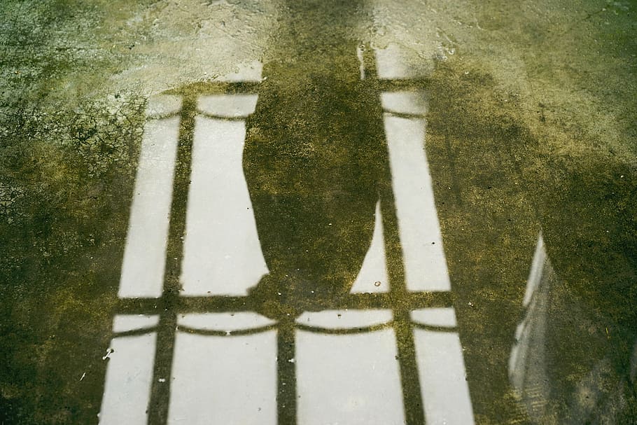 selective focus photography of a shadow, stone, floor, water HD wallpaper