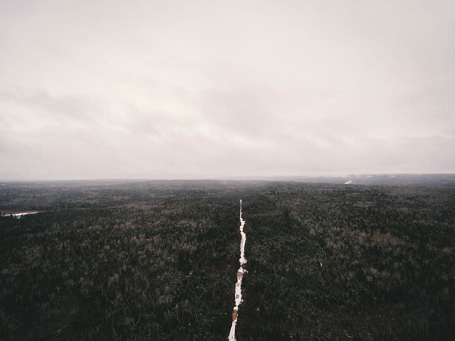 top view photography of trees, aerial photography of body of water in middle of forest during day HD wallpaper