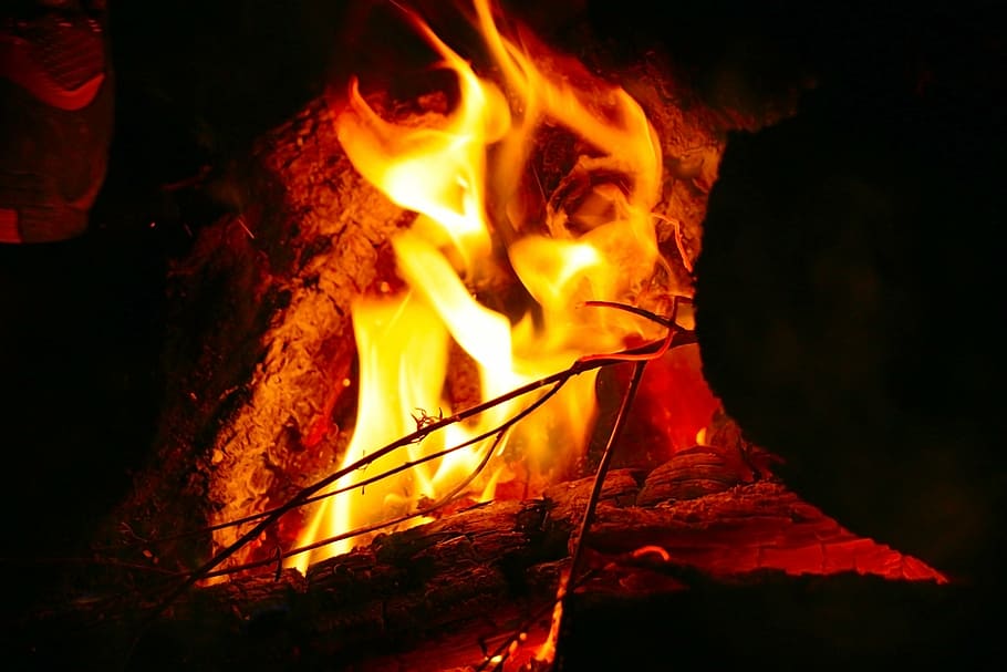 bonfire, camping, night, burning, flame, fire - natural phenomenon HD wallpaper