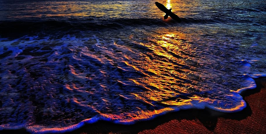 beach, orla, mar, ocean, wave, sand, west, sunset, nature, water HD wallpaper