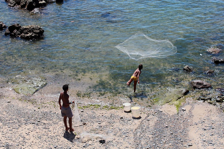 Children, Fish, Network, Water, Nature, sea, lake, beach, boy HD wallpaper