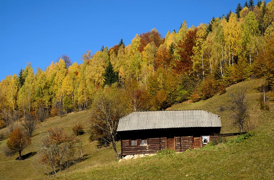 brown house on a mountainside, autumn, nature, rural Scene, landscape, HD wallpaper