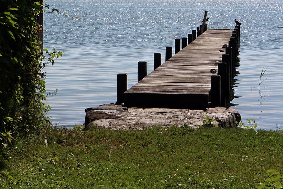 web, boardwalk, lake, waters, bank, pier, piles, no people HD wallpaper