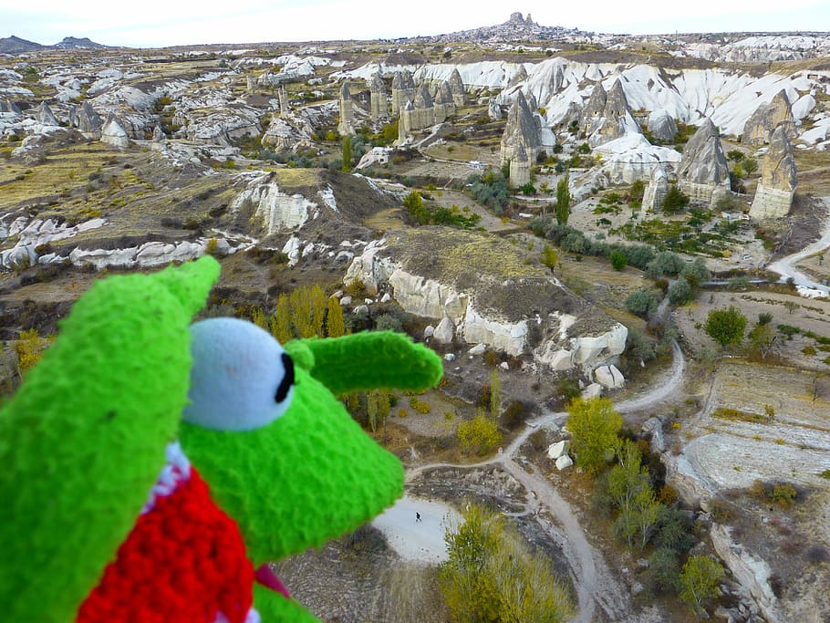 Kermit the Frog on the top of mountain, outlook, good view HD wallpaper