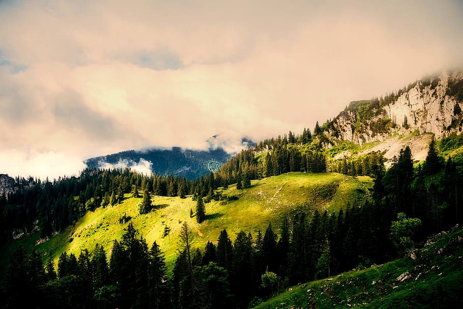 Germany, Sunset, Dusk, Mountains, Forest, trees, woods, hdr HD wallpaper