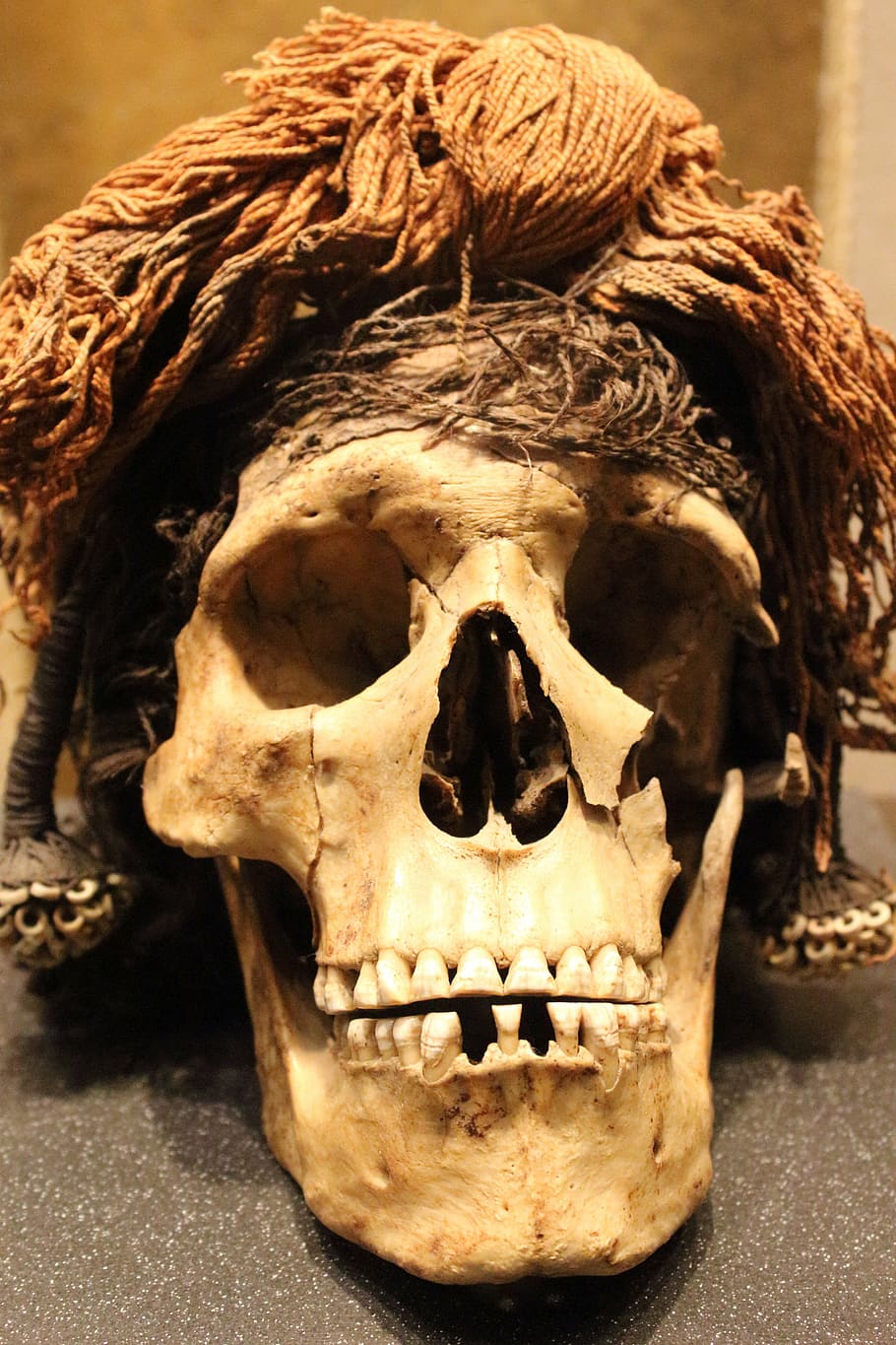 mexico, death, museum, human skeleton, human skull, bone, close-up HD wallpaper