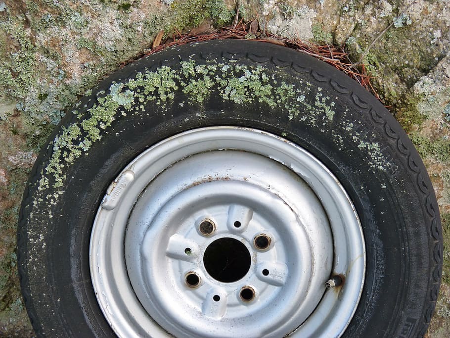 wheel, lichen, moss, old, abandoned, tire, circle, geometric shape HD wallpaper