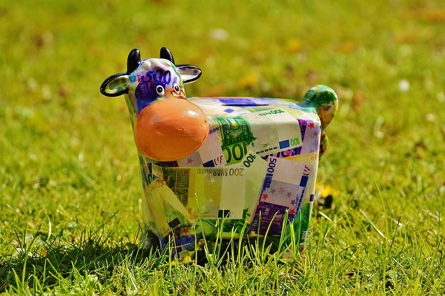 blue and multicolored euro banknote-themed cow coin bank on green grass, HD wallpaper