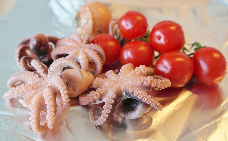 steam baby octopus with cherry tomatoes, Fish, Squid, Mussels HD wallpaper
