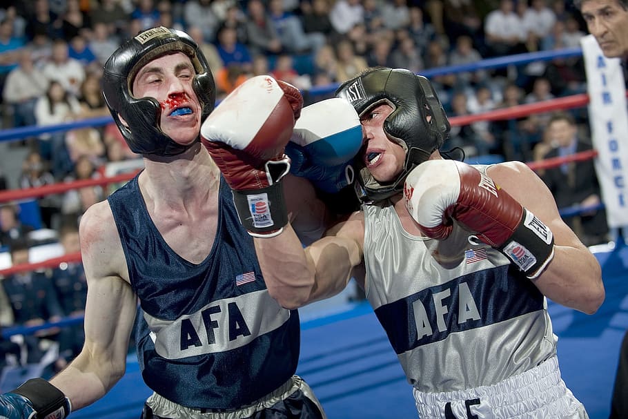 shallow focus photography of two boxers fighter, boxing, ring HD wallpaper