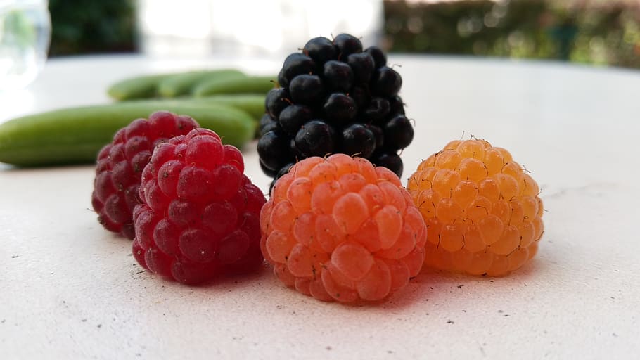 raspberry, blackberry, food, fruit, healthy eating, food and drink HD wallpaper