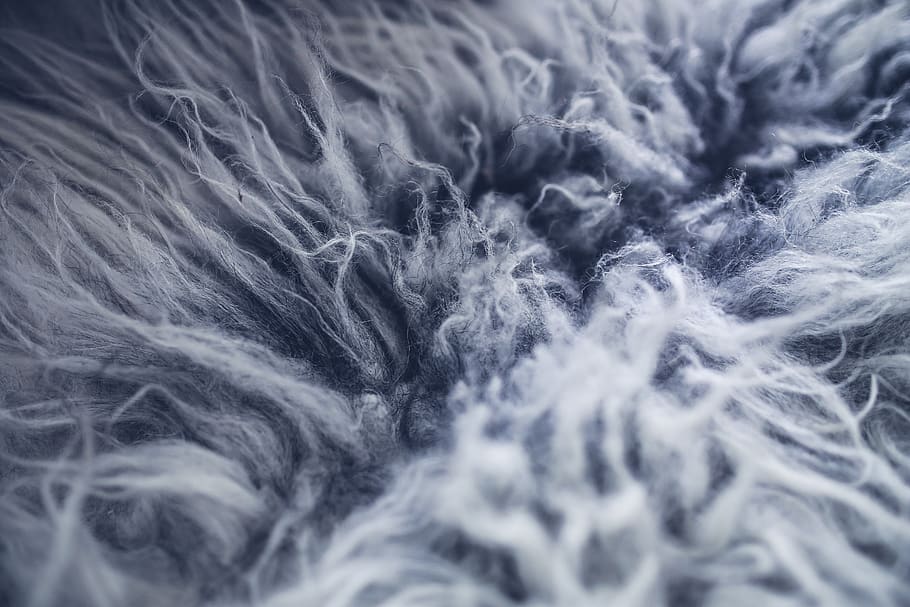 gray, grey, fur, blanket, clothes, stylish, design, designer HD wallpaper