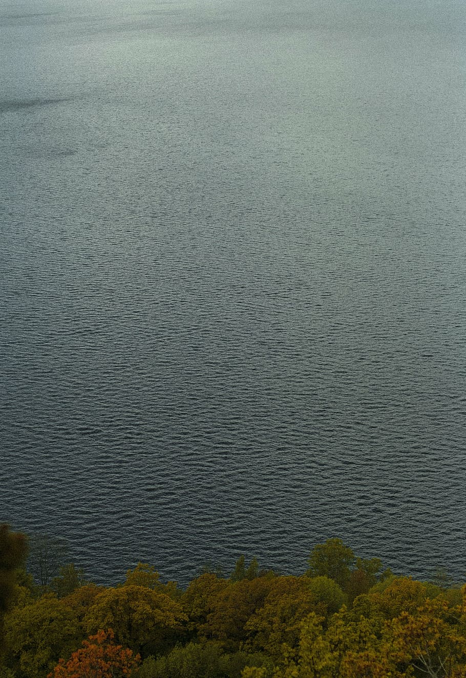 water, ripple, lake, surface, liquid, nature, fresh, texture HD wallpaper