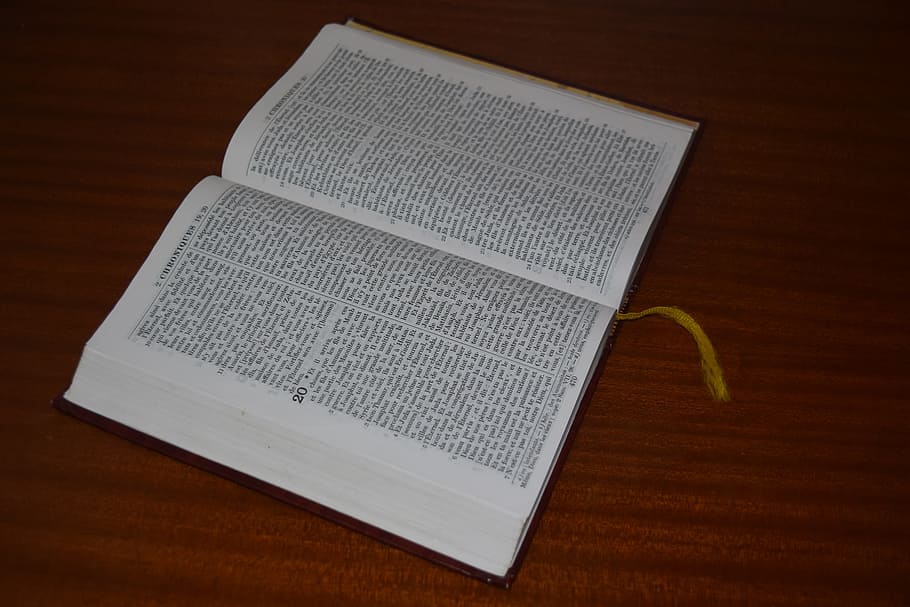 bible, darby, holy, indoors, table, high angle view, publication HD wallpaper