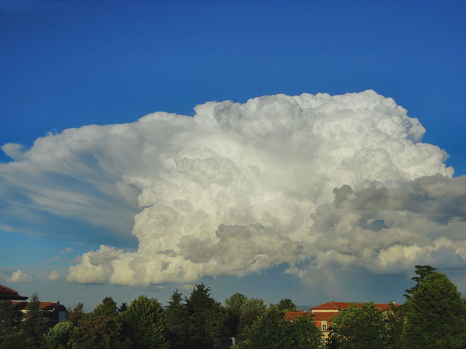 cloud, sky, white, clouds, blue, strange, the form of clouds HD wallpaper