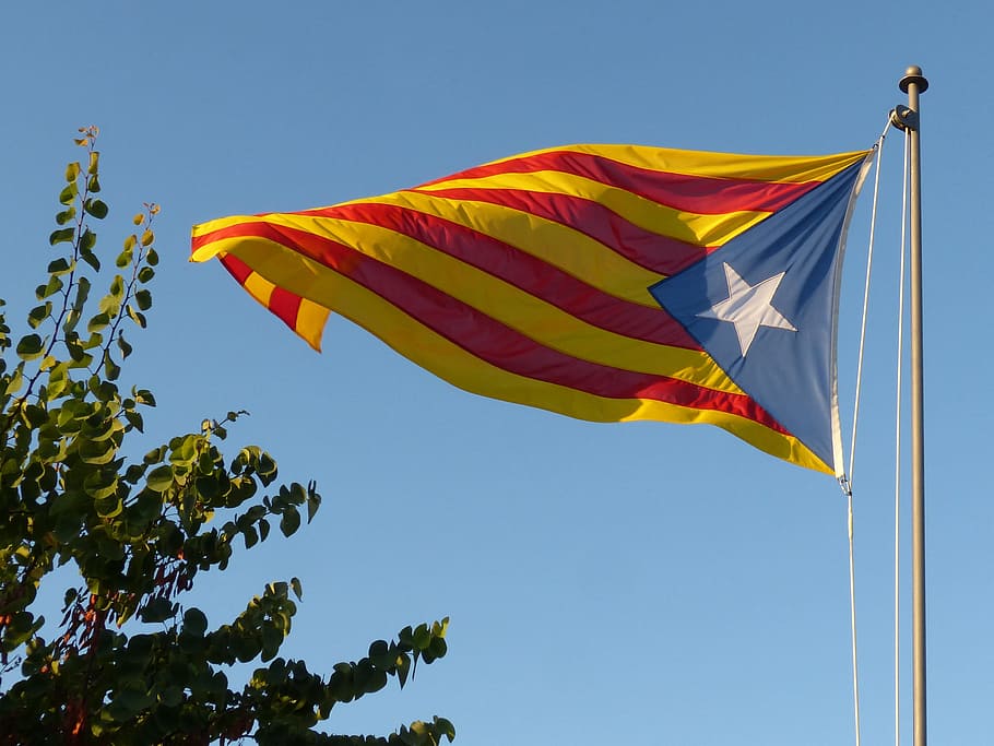 flag, senyera, catalan flag, estelada, catalunya, dom, wave