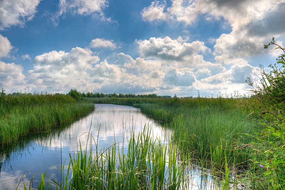 green grass near river with cloudy skies, sky, blue, hdr, nature HD wallpaper