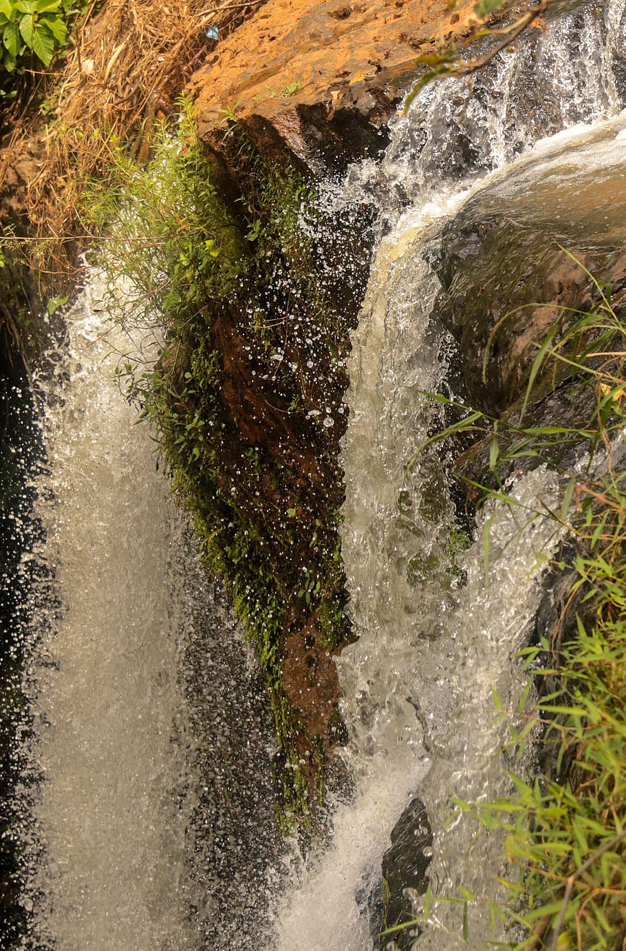 forest, nature, waterfall, motion, beauty in nature, flowing water HD wallpaper