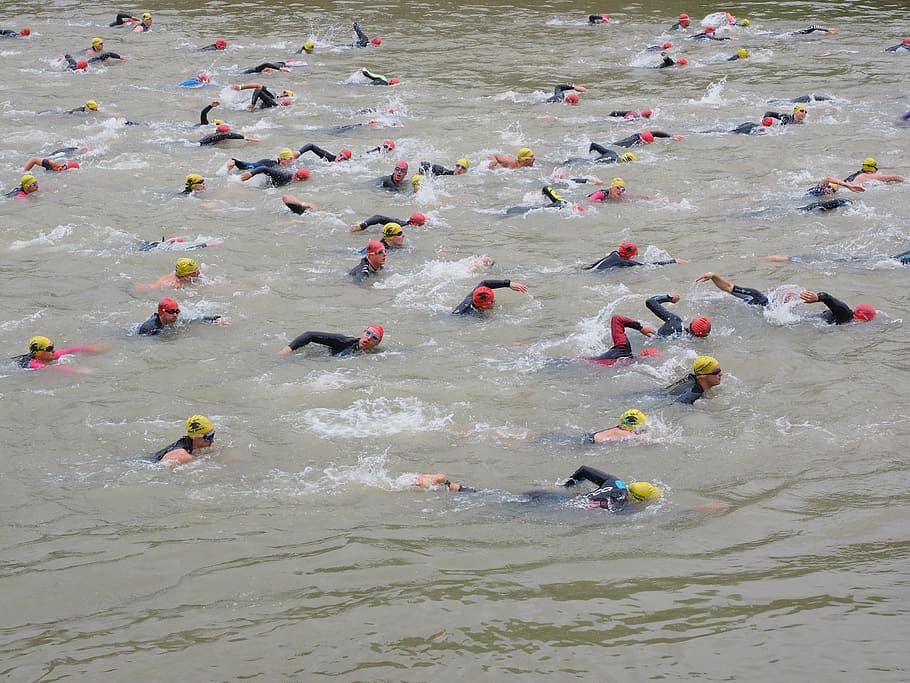 competition, crawl, involved, swim, track and field athletes HD wallpaper