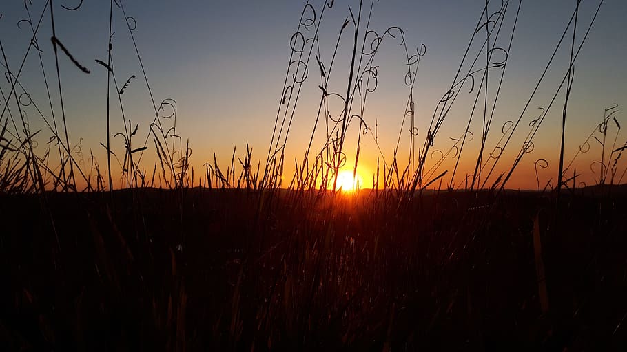 sol, horizon, eventide, sunset, sky, beauty in nature, landscape HD wallpaper