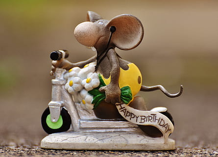 gray rat figurine, birthday, mouse, roller, figure, cute, greeting HD wallpaper