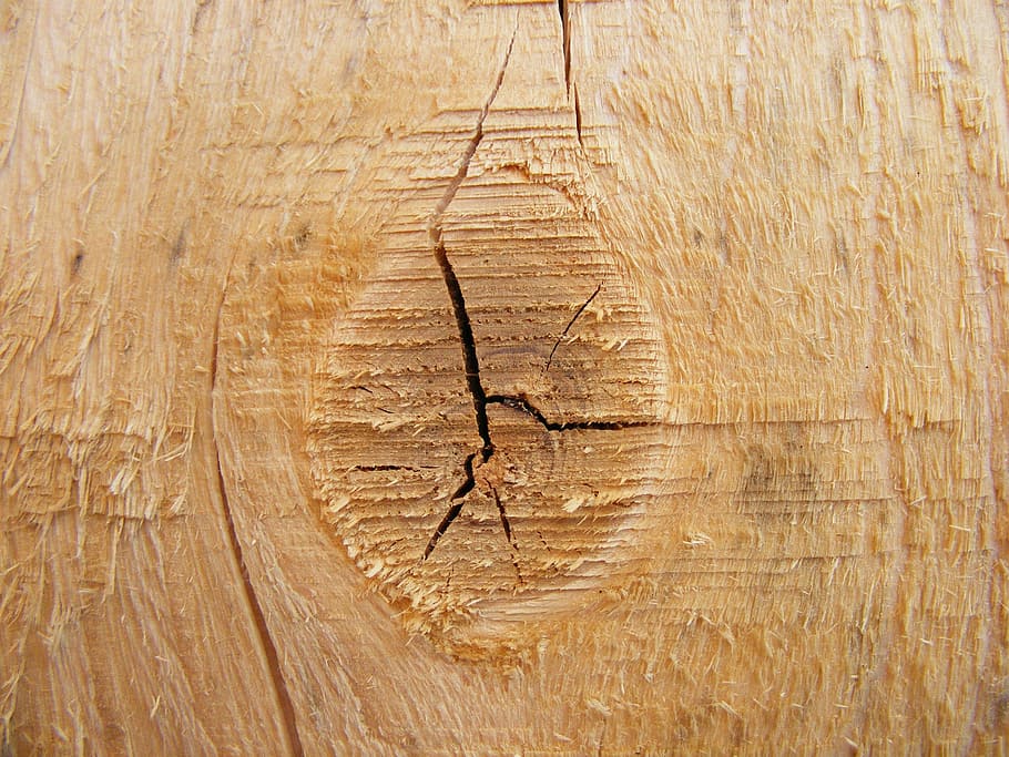 fir, knot, natural, tree, wood, background-texture, wood - material HD wallpaper